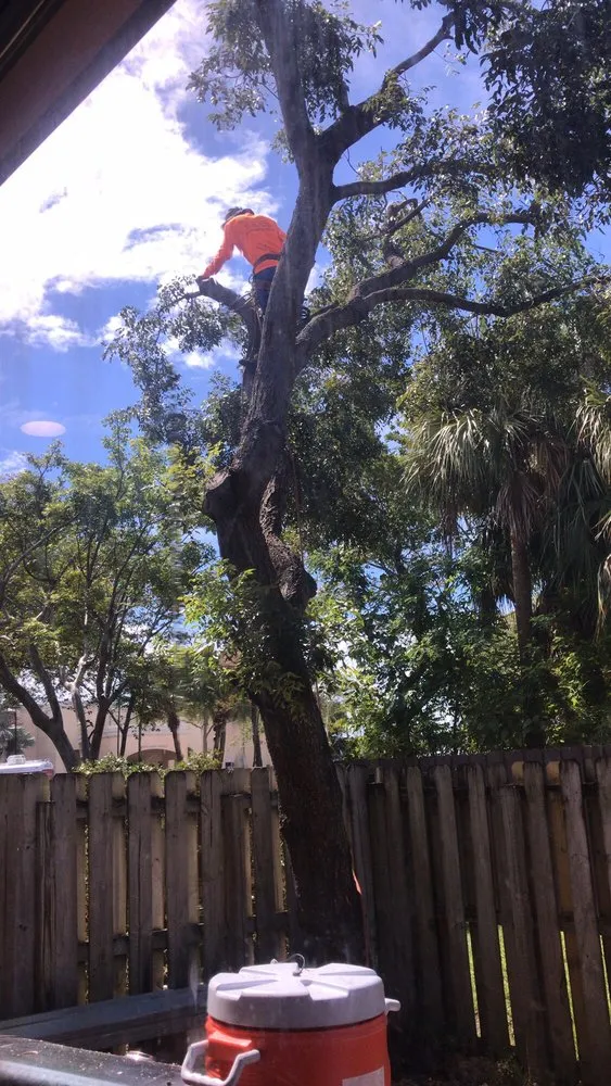 Custom landscaping services in Miami, FL by SupraLawn