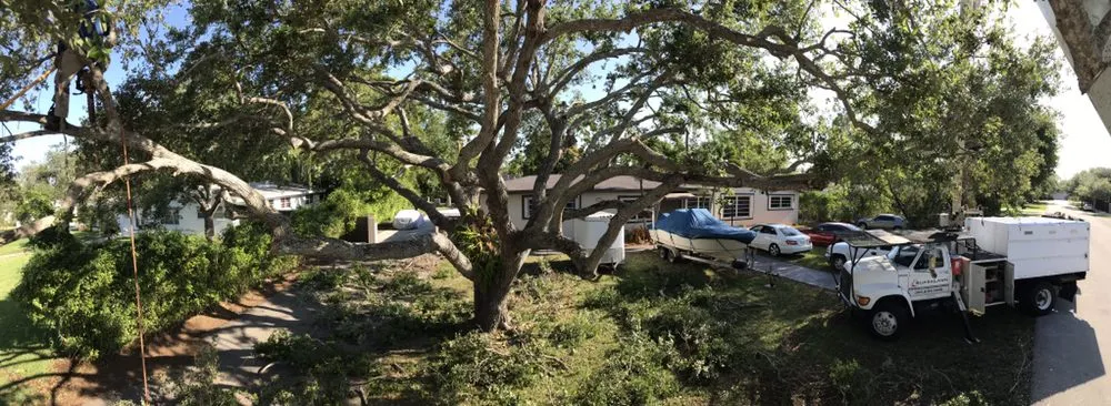 Expert yard cleanup service in Miami, FL - SupraLawn