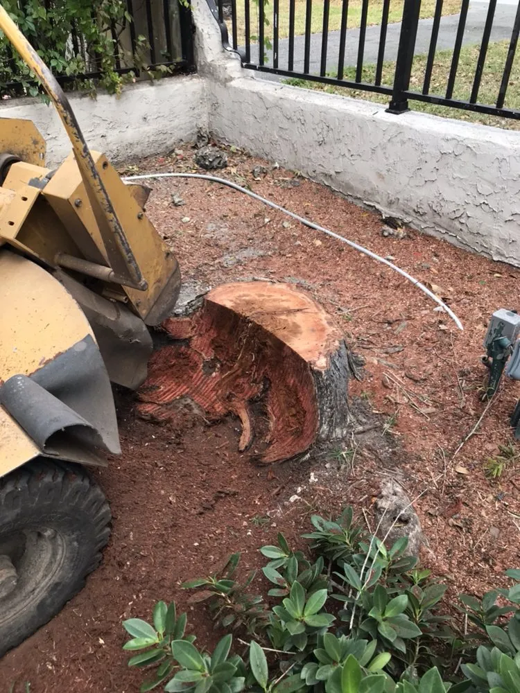 Expert landscaping services in Miami, FL by SupraLawn