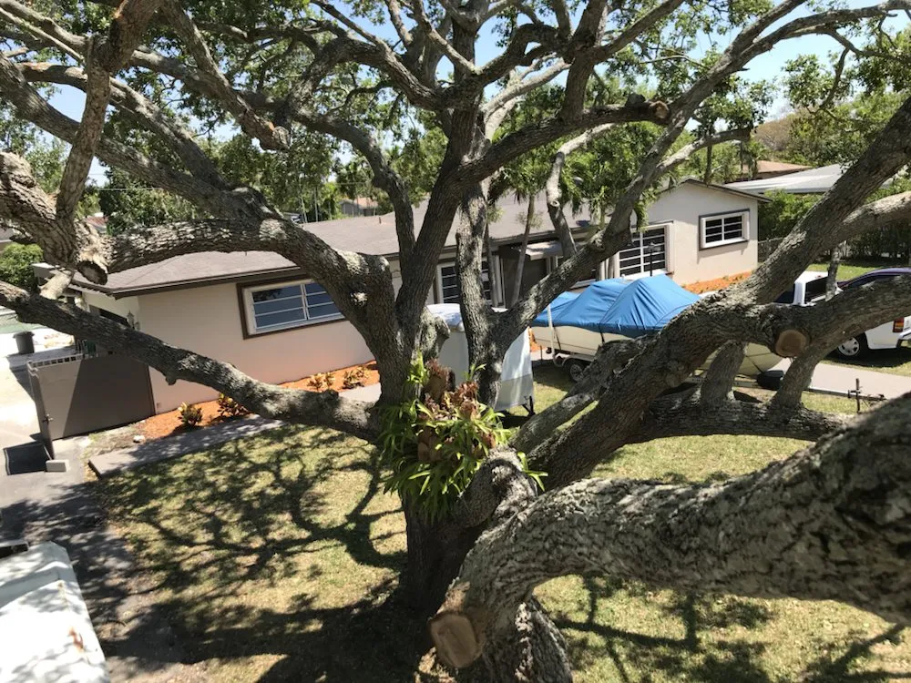 Trusted lawn care service in Miami, FL - SupraLawn