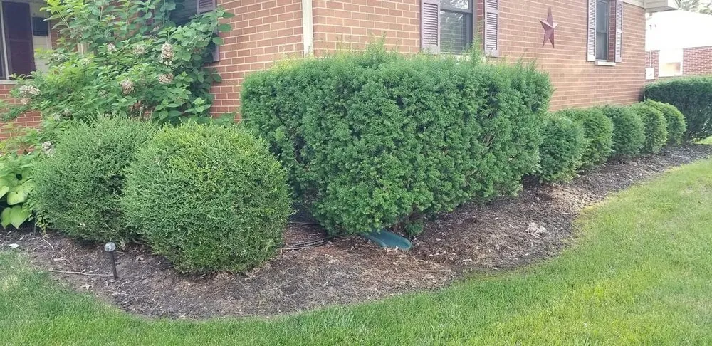 Reliable lawn care service for beautiful yards across Dayton, OH - Supreme Choice Solutions