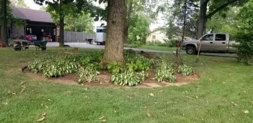 Local lawn mowing service in Dayton, OH - Supreme Choice Solutions