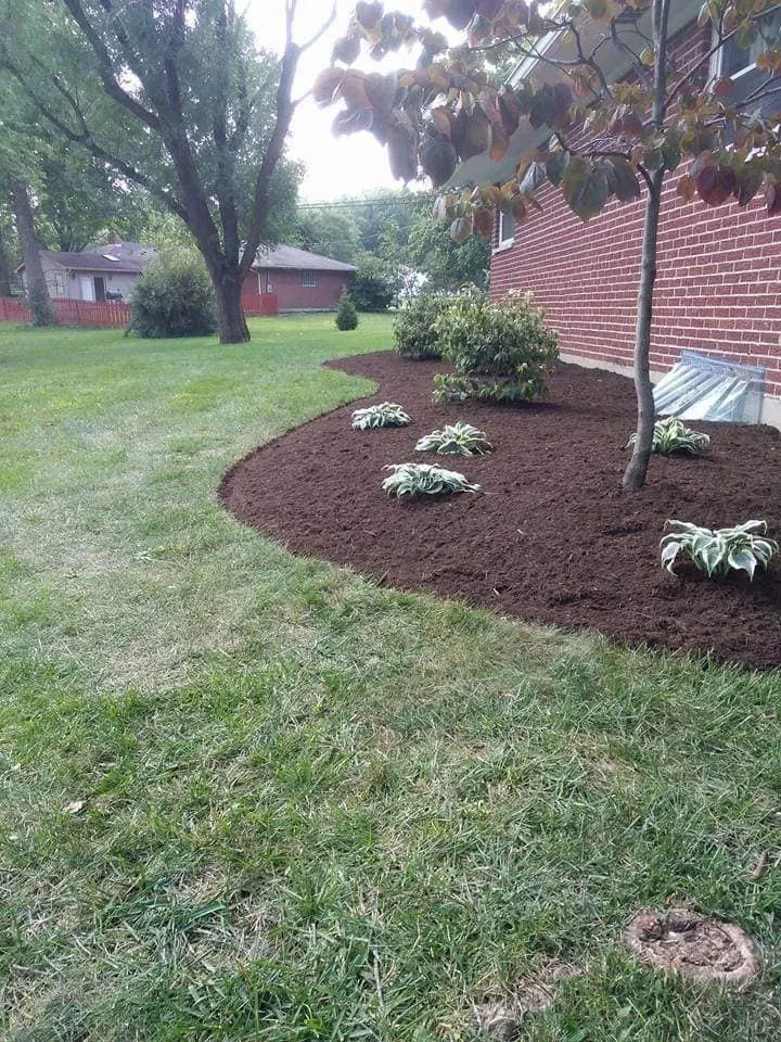 Expert yard maintenance experts serving Dayton, OH - Supreme Choice Solutions