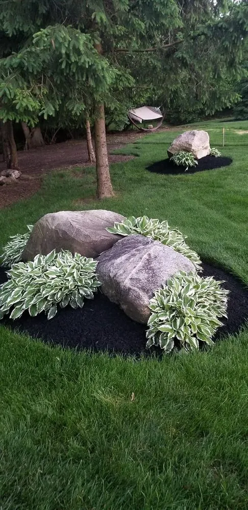 Trusted yard cleanup service in Dayton, OH - Supreme Choice Solutions