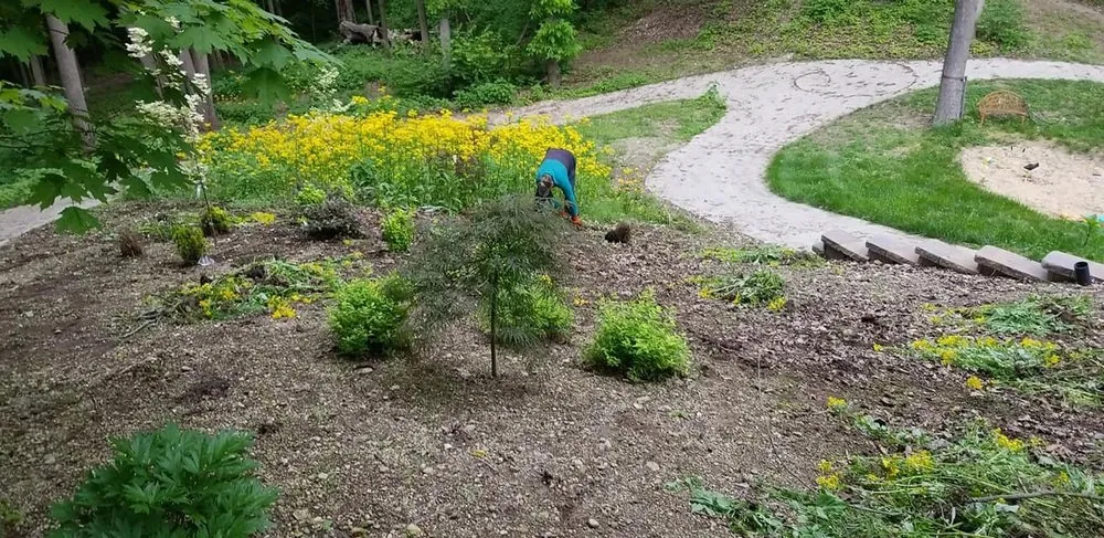 Local yard cleanup service for beautiful yards across Dayton, OH - Supreme Choice Solutions