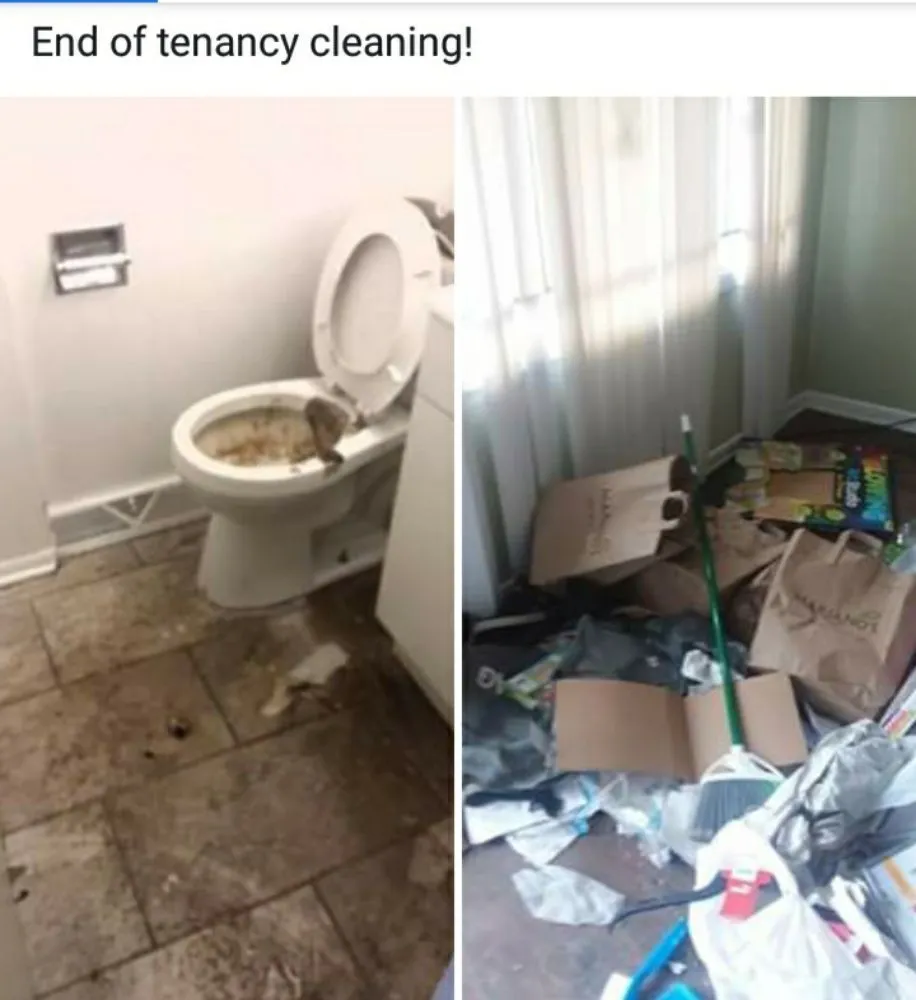 Local lawn care service for beautiful yards in Chicago, IL by Supreme Clean Chicago Elite Cleaning Services