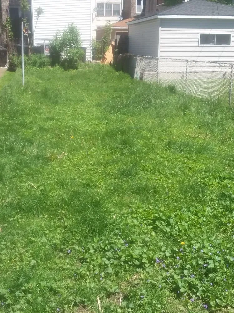 Reliable yard maintenance experts serving Chicago, IL - Supreme Clean Chicago Elite Cleaning Services
