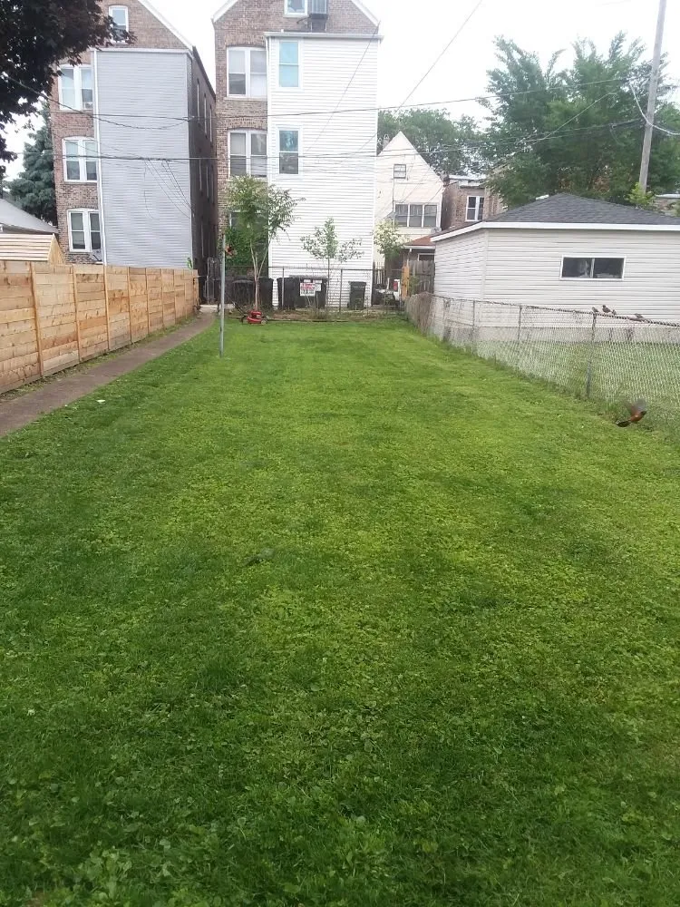 Local yard maintenance near you in Chicago, IL by Supreme Clean Chicago Elite Cleaning Services