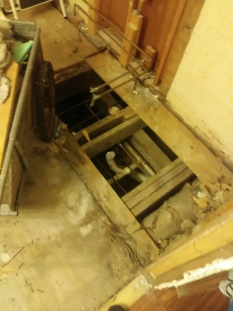 Professional yard cleanup service in Cullman, AL by Supreme Construction & Tree Service