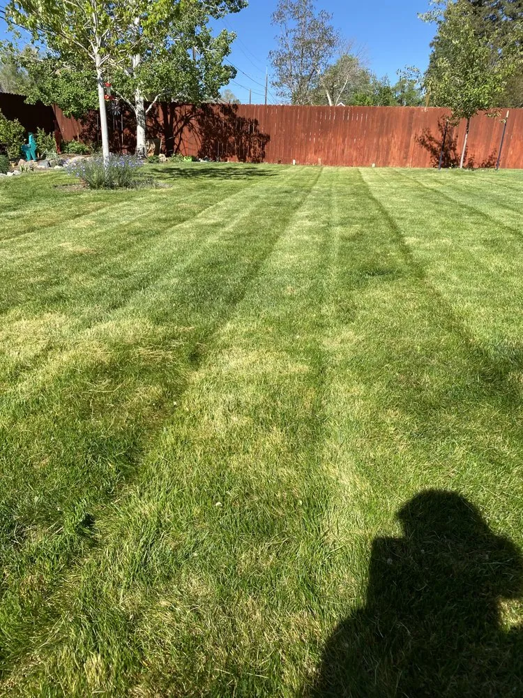 Top-rated garden landscaping for year-round maintenance in Salida, CO by Supreme Cut Yard Care