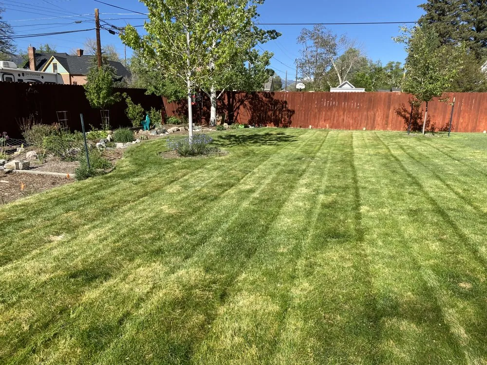 Expert landscape installation in Salida, CO - Supreme Cut Yard Care