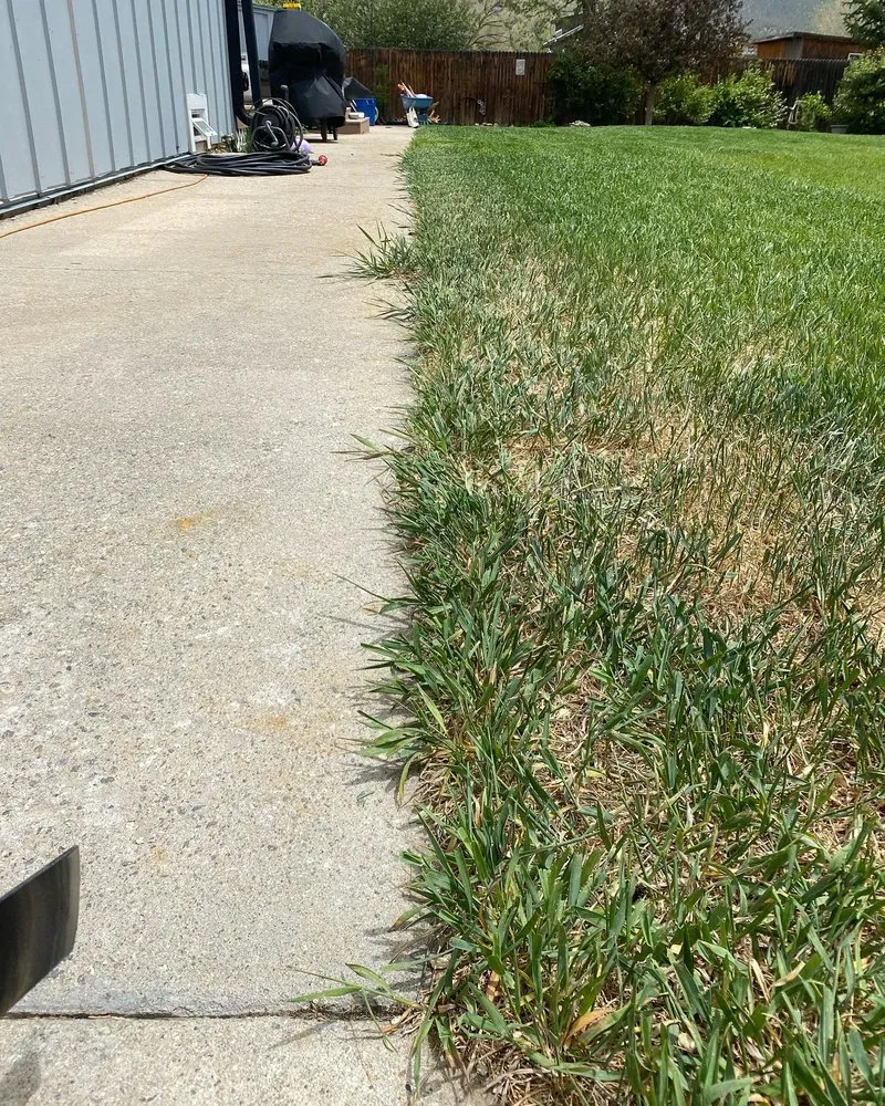 Custom lawn mowing service near you across Salida, CO - Supreme Cut Yard Care