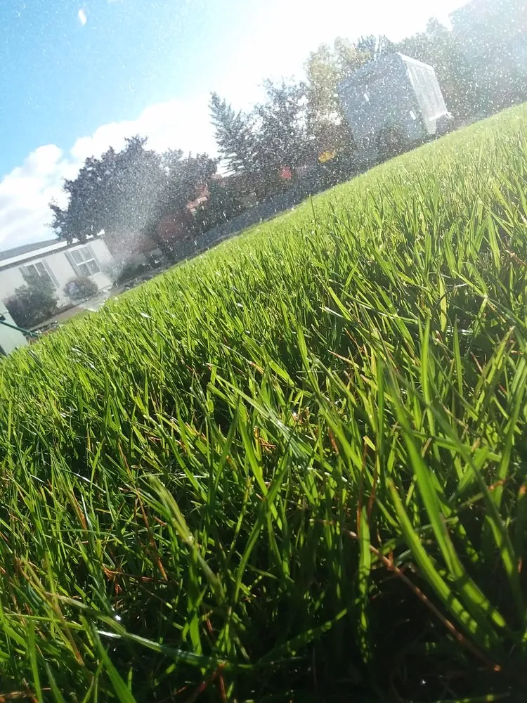 Custom garden landscaping for year-round maintenance across Salida, CO - Supreme Cut Yard Care