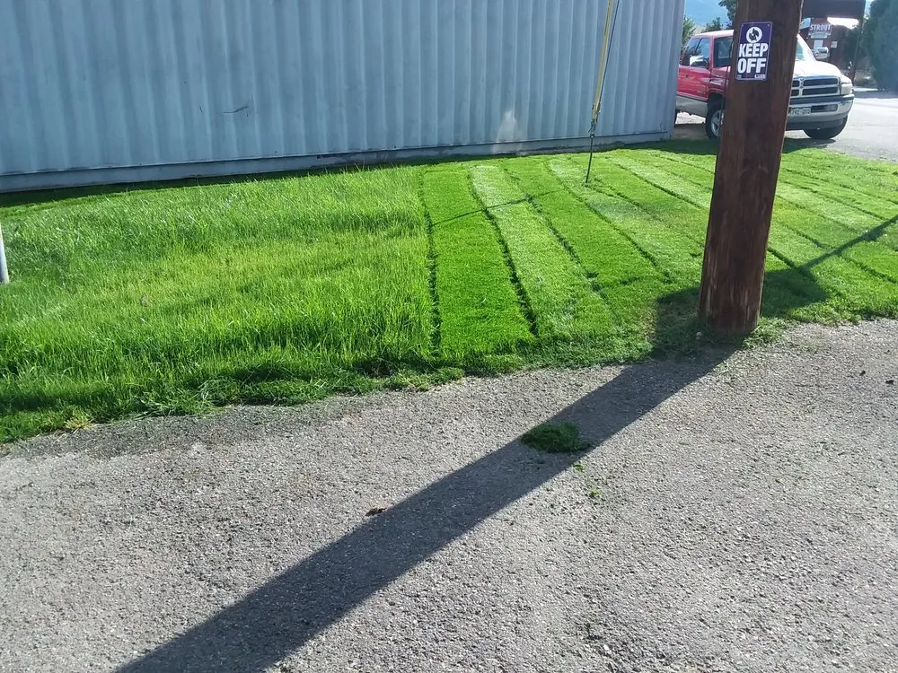 Custom yard cleanup service for residential properties in Salida, CO by Supreme Cut Yard Care