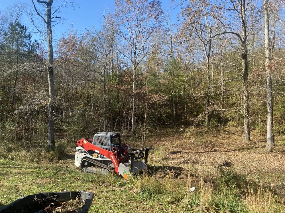 Trusted yard cleanup service in Dalton, GA by Supreme Forestry Mulching & Land Clearing