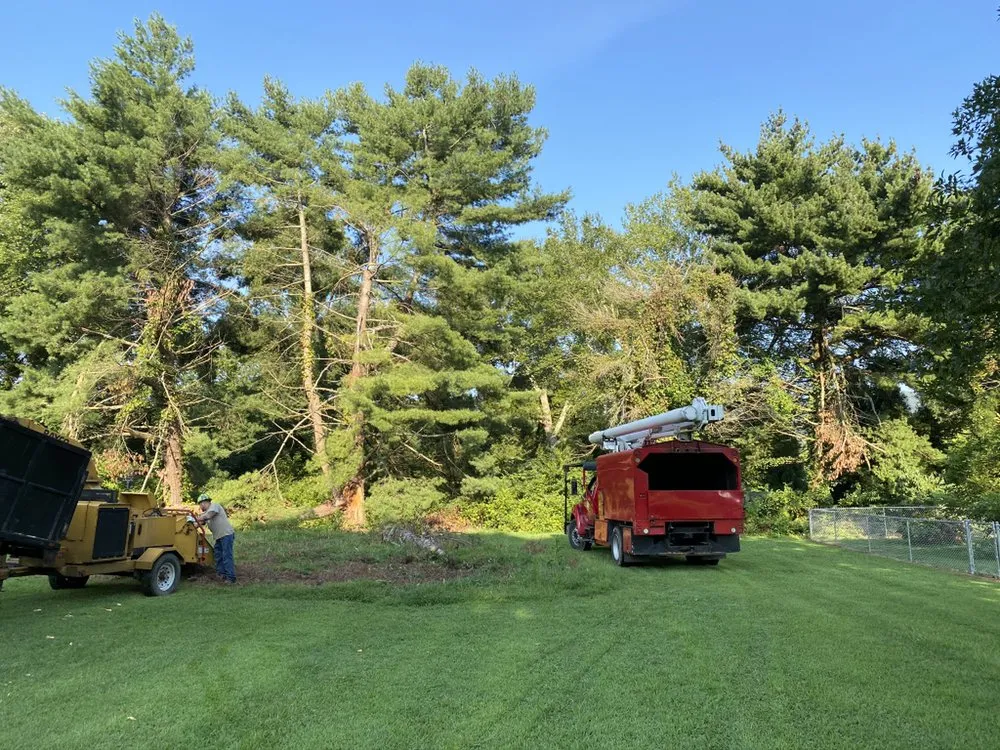 Top-rated landscape design in Dalton, GA - Supreme Forestry Mulching & Land Clearing