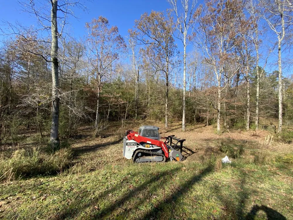 Reliable outdoor landscaping for year-round maintenance in Dalton, GA by Supreme Forestry Mulching & Land Clearing