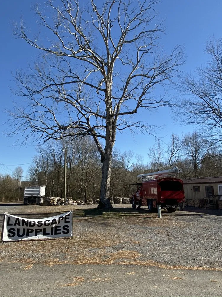 Reliable residential landscaping for outdoor upgrades across Dalton, GA - Supreme Forestry Mulching & Land Clearing