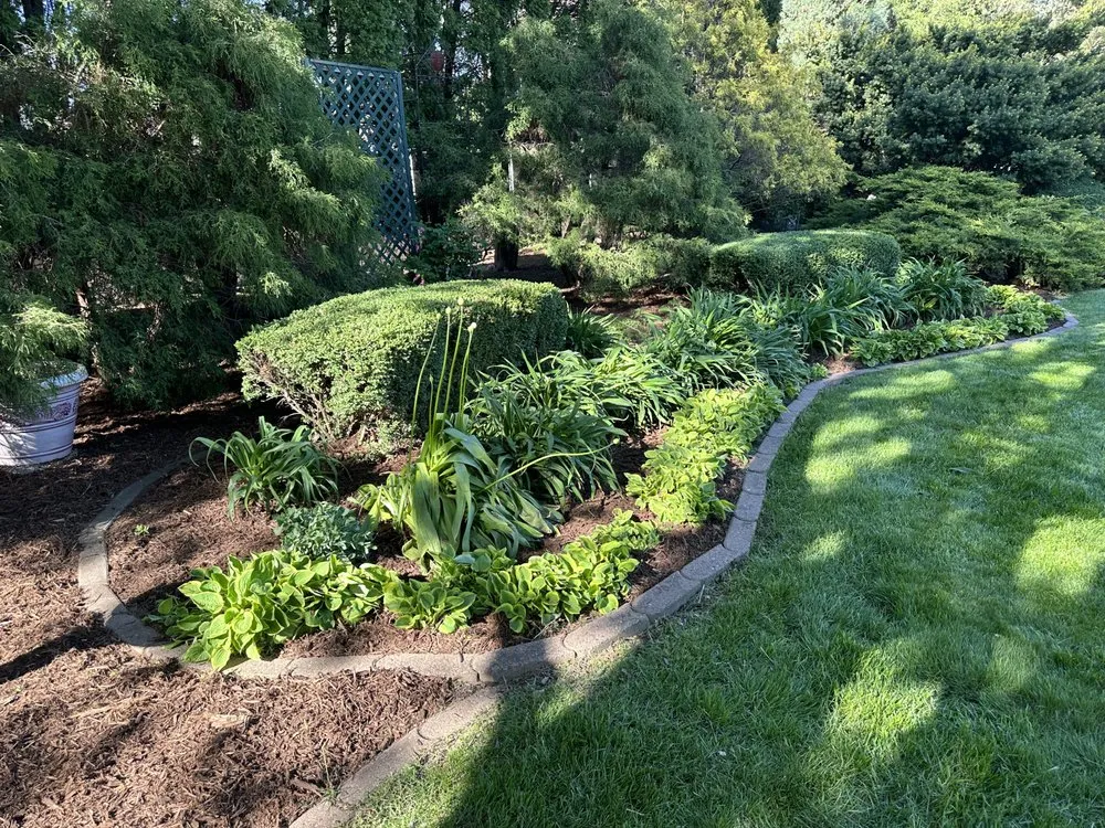 Expert yard maintenance for residential properties in Sun Prairie, WI by Supreme Klean