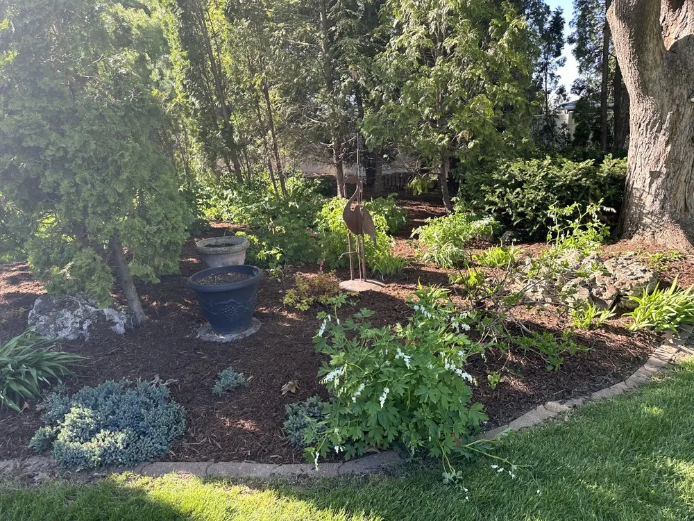 Local lawn mowing service experts serving Sun Prairie, WI - Supreme Klean