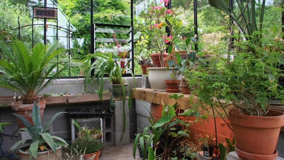 Top-rated residential landscaping in Monroe, NC by Supreme Land Management