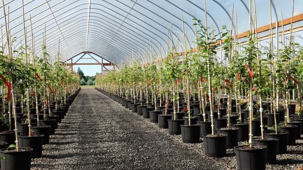 Supreme Land Management Logo