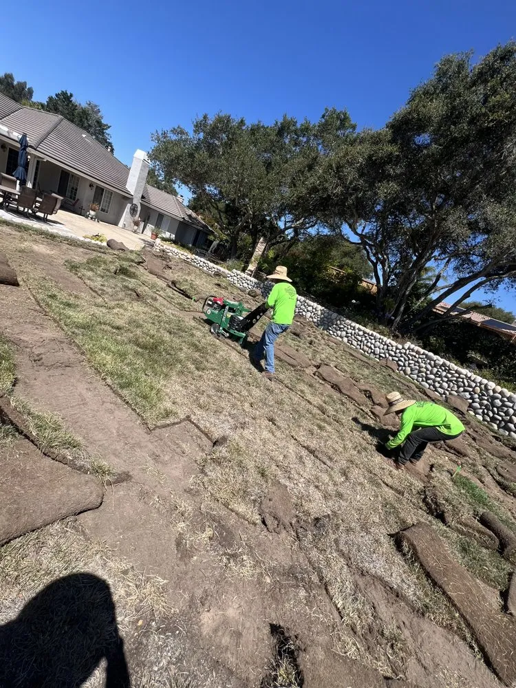 Top-rated garden landscaping for homes in Lompoc, CA by Supreme Landscape & Maintenance