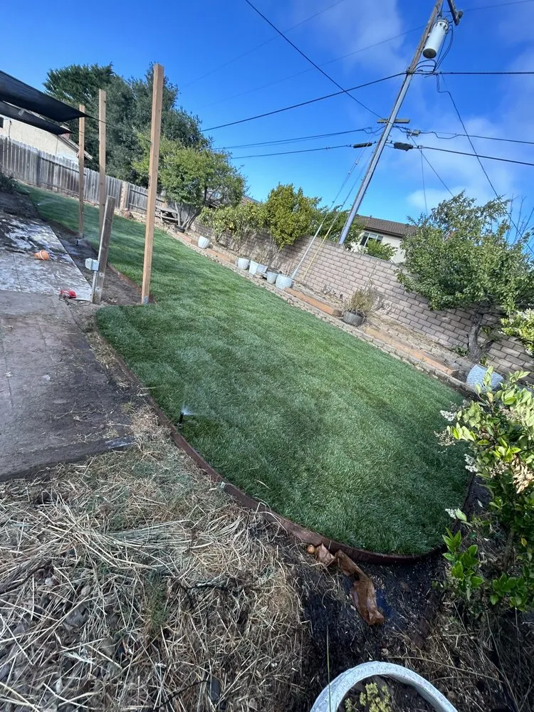 Custom landscape installation experts serving Lompoc, CA - Supreme Landscape & Maintenance