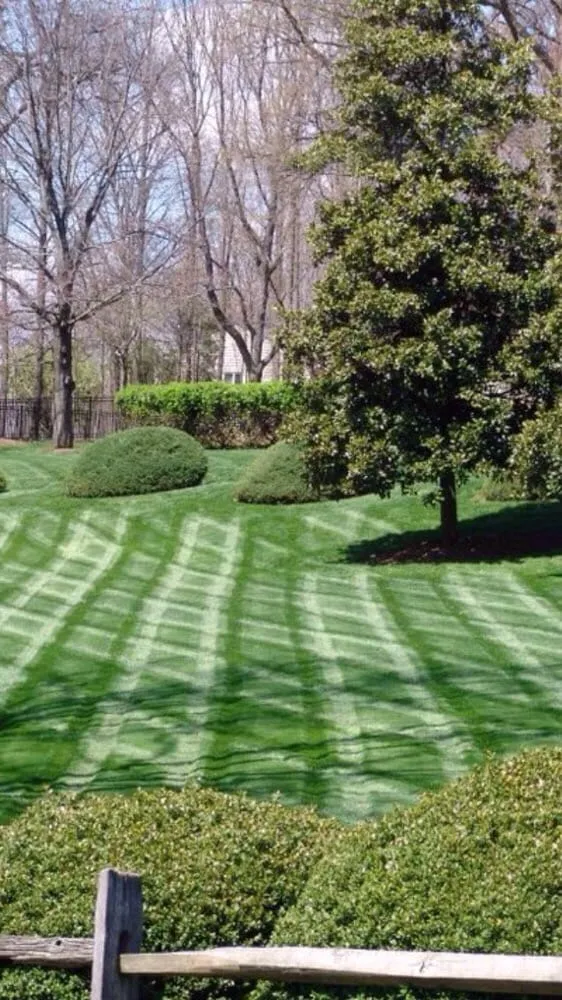 Top-rated residential landscaping in Gainesville, VA by Supreme Landscapes