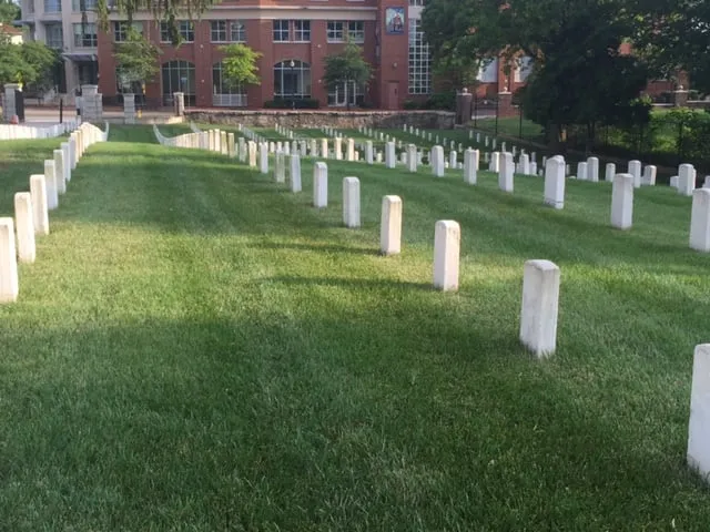 Affordable garden landscaping in Gainesville, VA - Supreme Landscapes