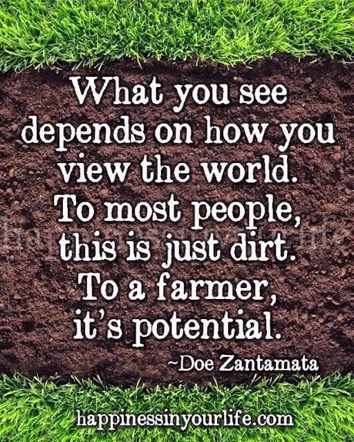 Reliable yard cleanup service experts serving Gainesville, VA - Supreme Landscapes