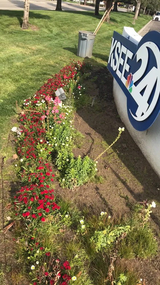 Top-rated yard cleanup service in Fresno, CA by Supreme Landscaping & Irrigation