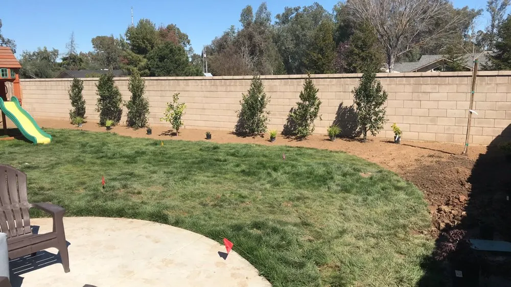 Custom landscape design for outdoor upgrades in Fresno, CA by Supreme Landscaping & Irrigation