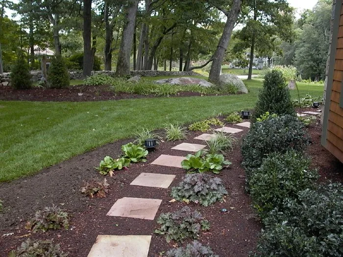 Top-rated lawn care service in Fresno, CA by Supreme Landscaping & Irrigation