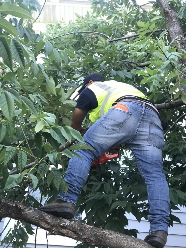 Top-rated garden landscaping in Chicago, IL by Supreme Landscaping