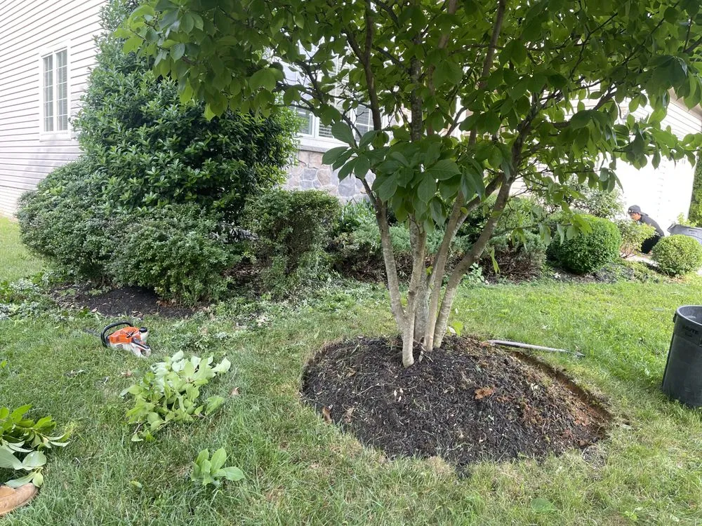 Reliable landscape design with custom design in Columbia, MD by Supreme Landscaping