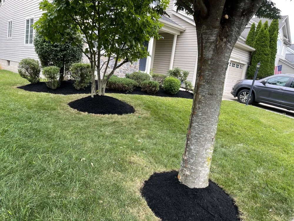 Reliable lawn care service for homes in Columbia, MD by Supreme Landscaping