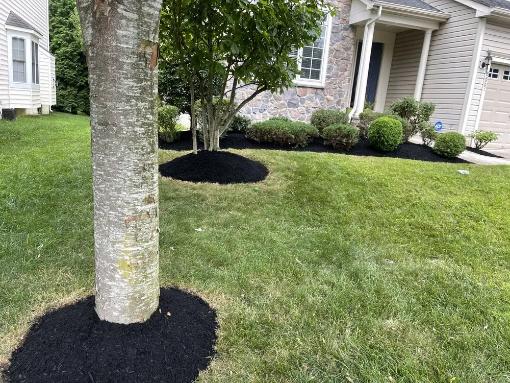 Expert outdoor landscaping in Columbia, MD - Supreme Landscaping