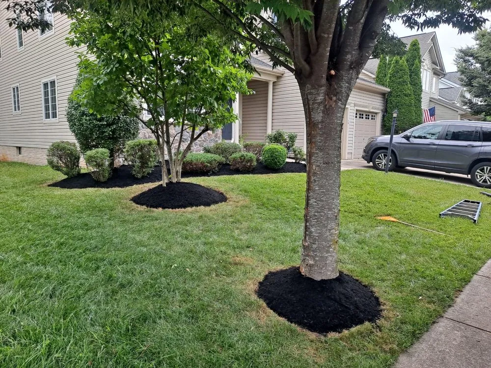 Professional garden landscaping for year-round maintenance across Columbia, MD - Supreme Landscaping