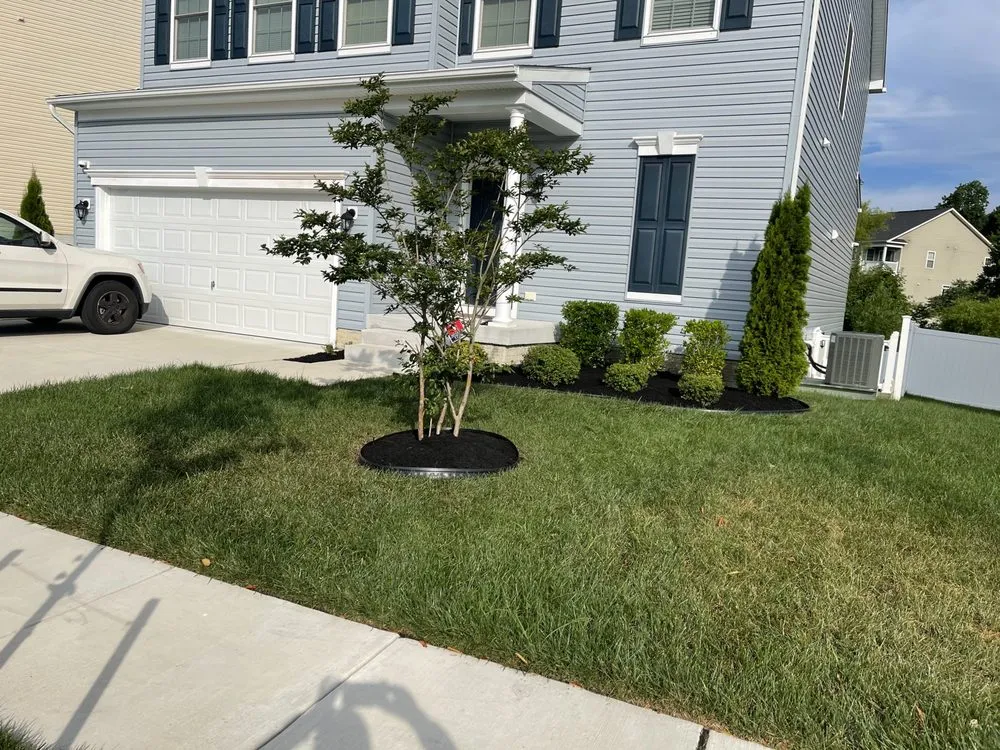 Top-rated yard cleanup service in Columbia, MD - Supreme Landscaping