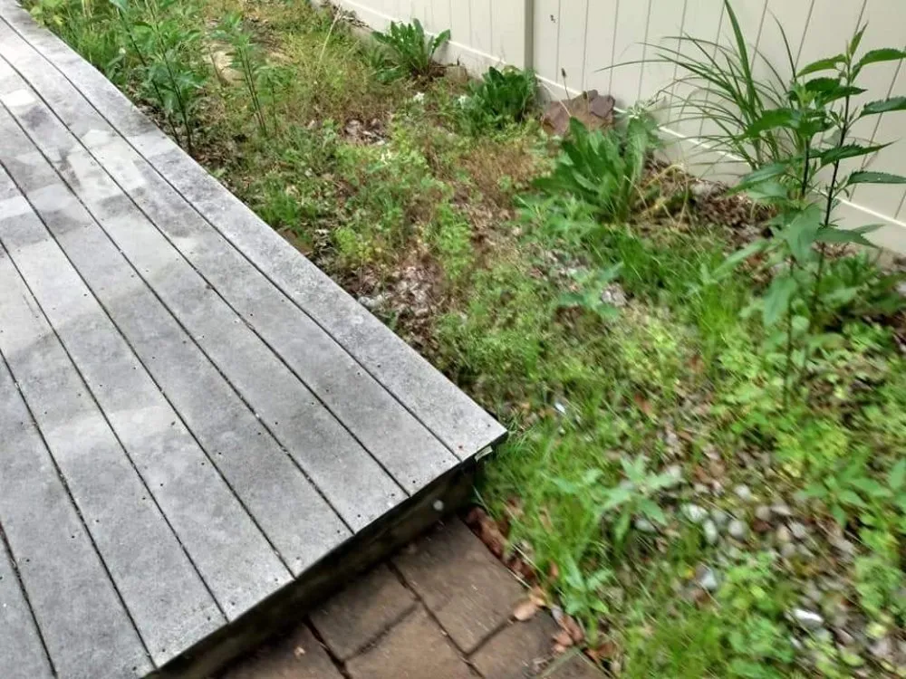 Top-rated yard cleanup service for beautiful yards across Dundalk, MD - Supreme Landscaping