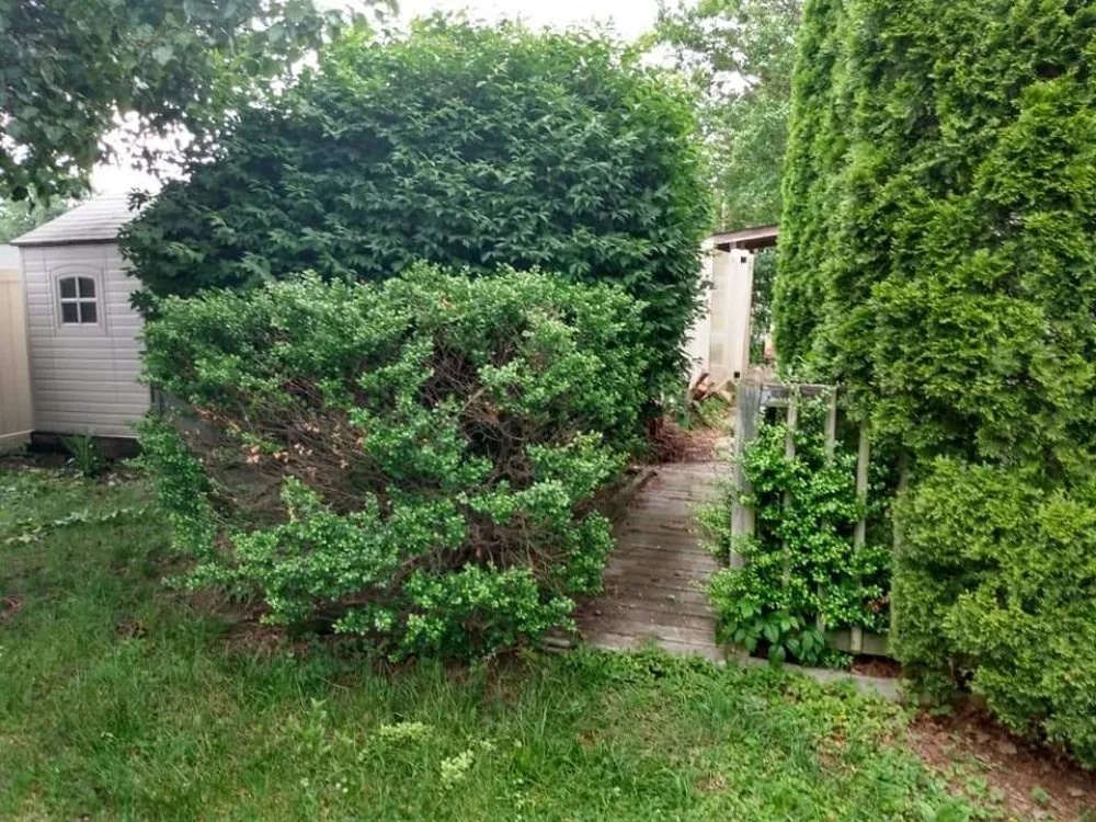 Trusted garden landscaping for year-round maintenance across Dundalk, MD - Supreme Landscaping