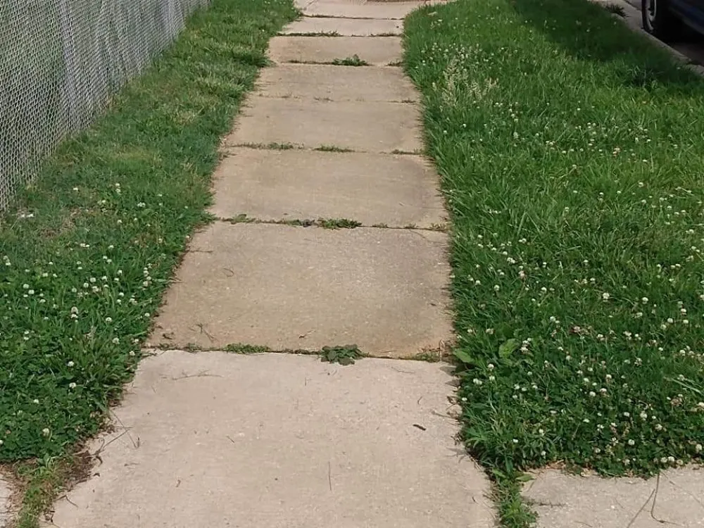 Custom residential landscaping experts serving Dundalk, MD - Supreme Landscaping