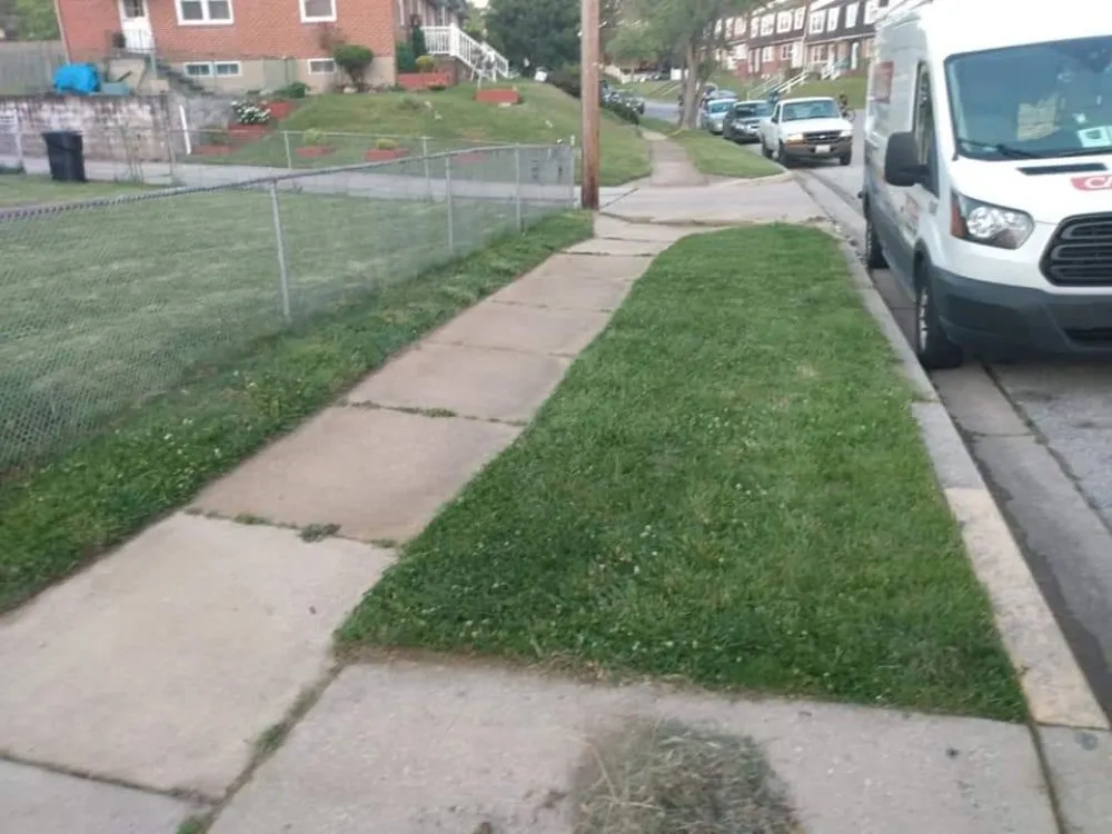 Expert landscaping services in Dundalk, MD - Supreme Landscaping