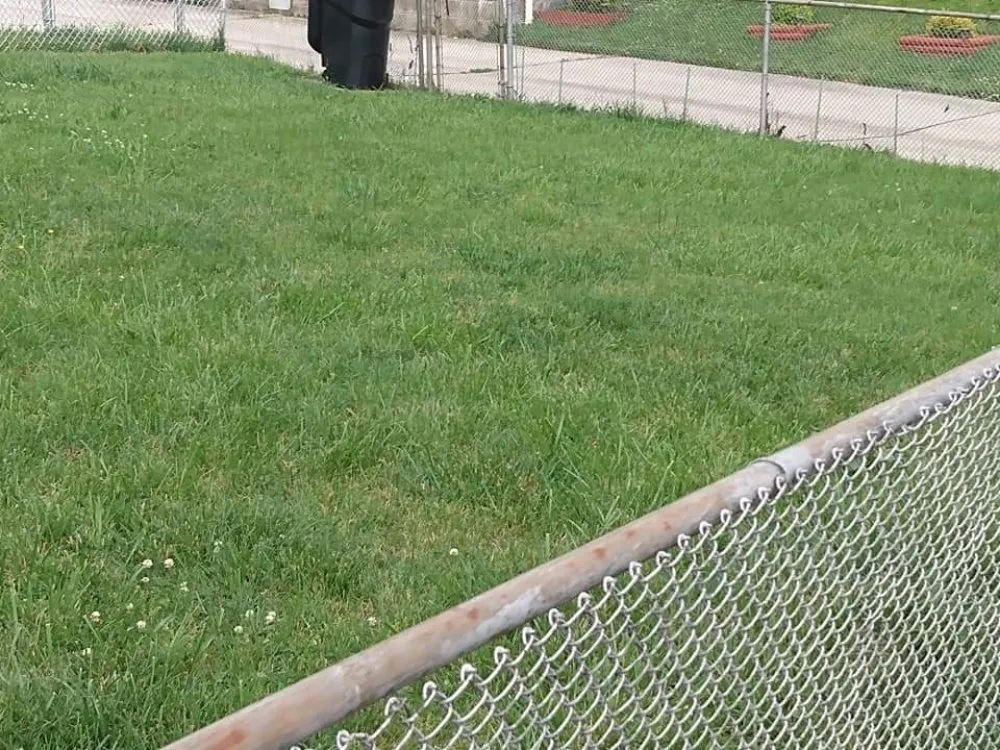 Top-rated yard cleanup service experts serving Dundalk, MD - Supreme Landscaping