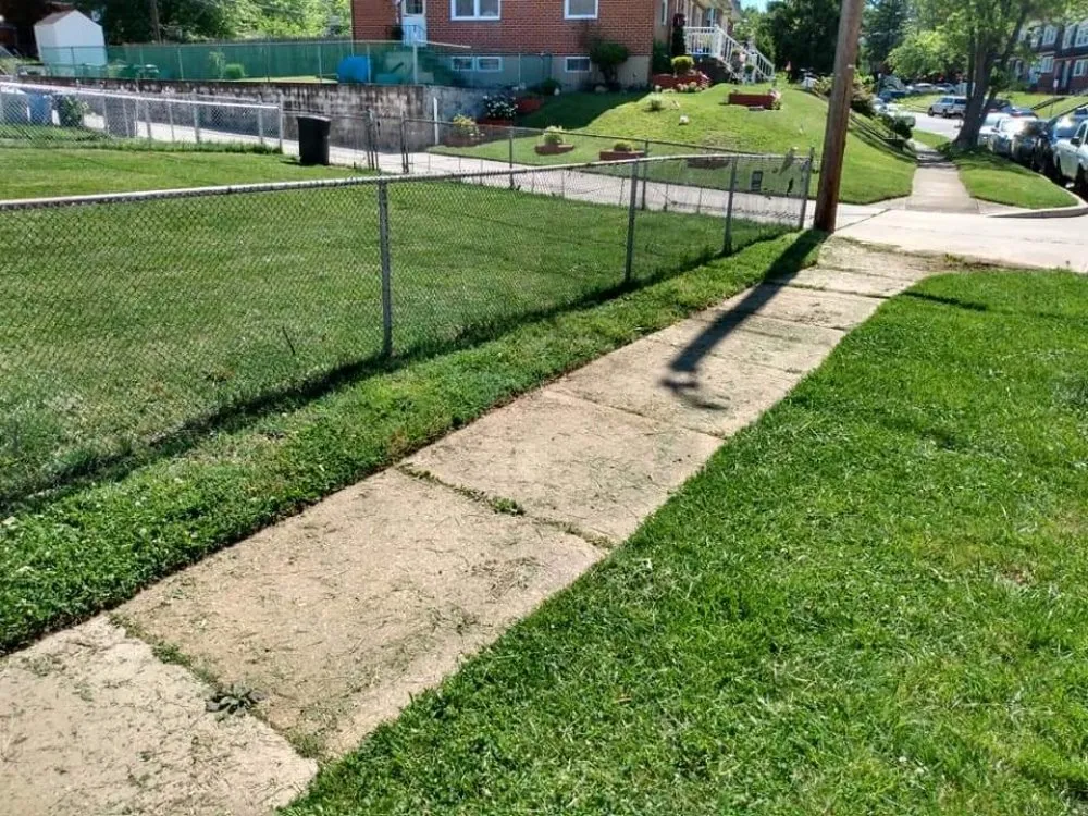 Top-rated yard cleanup service in Dundalk, MD by Supreme Landscaping