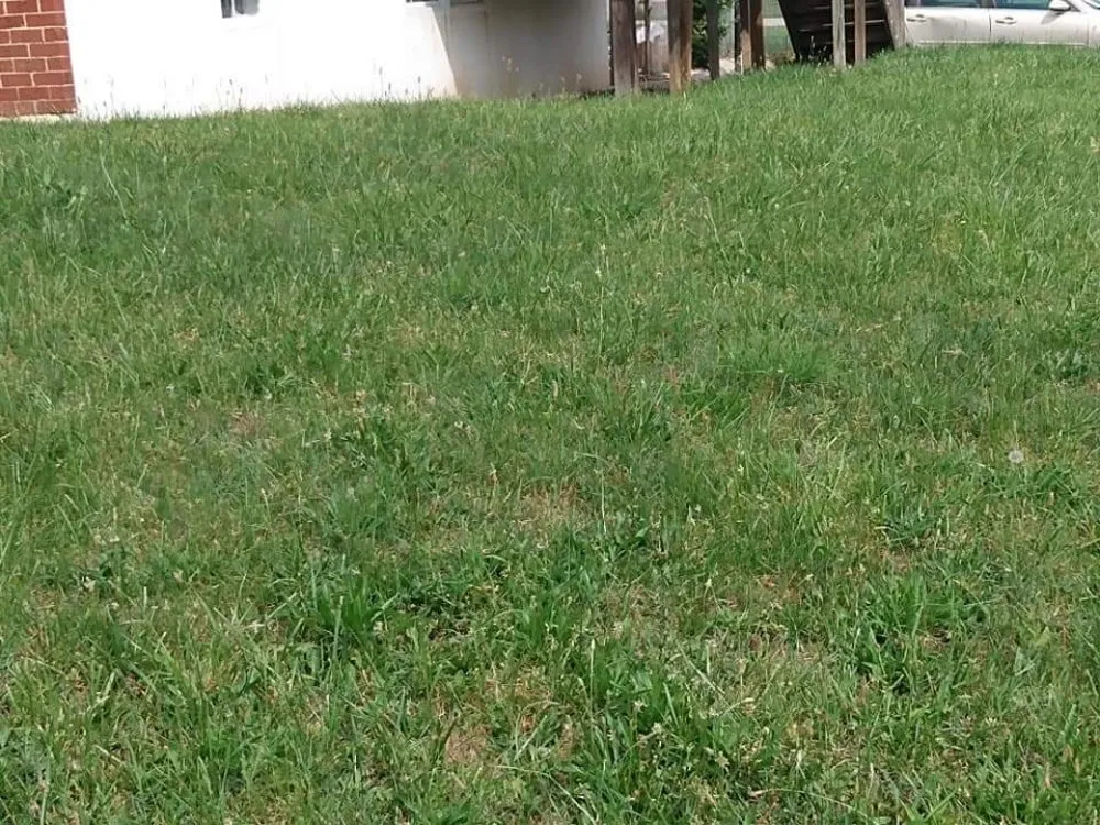 Professional landscape installation experts serving Dundalk, MD - Supreme Landscaping