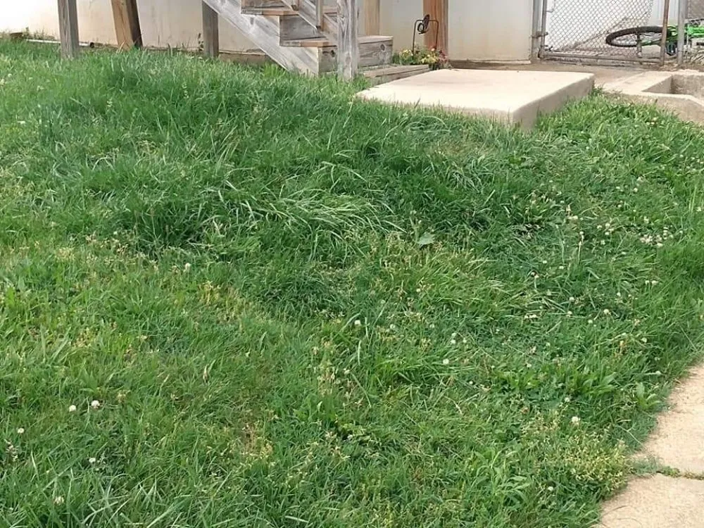 Professional landscape installation experts serving Dundalk, MD - Supreme Landscaping