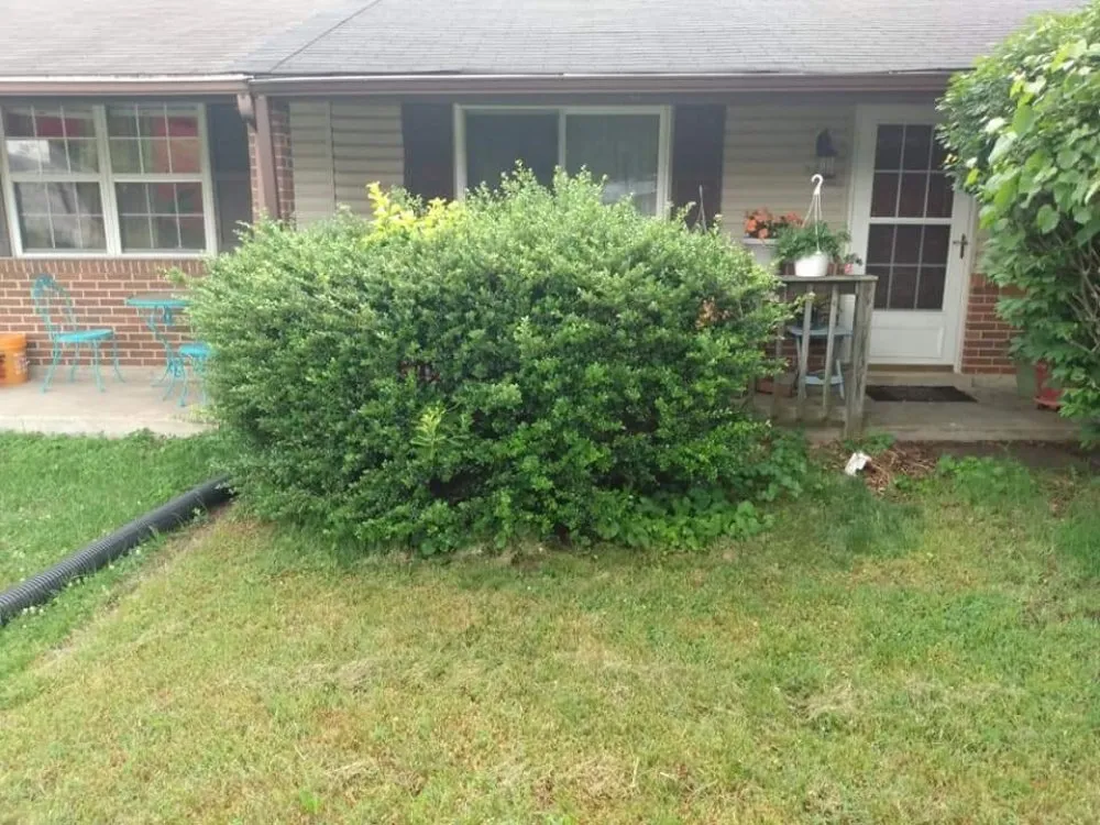 Reliable landscape design in Dundalk, MD - Supreme Landscaping