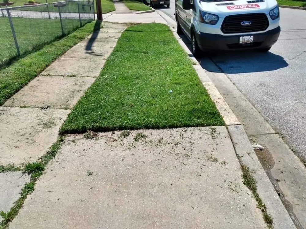 Professional lawn mowing service near you across Dundalk, MD - Supreme Landscaping